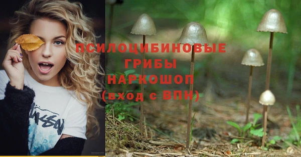 герыч Коряжма