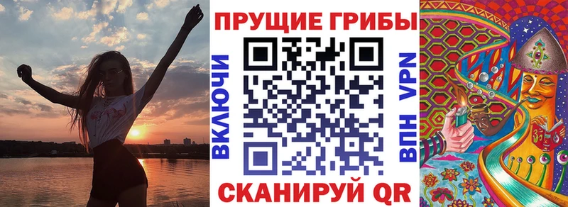 сколько стоит  Бердск  Псилоцибиновые грибы Psilocybine cubensis 