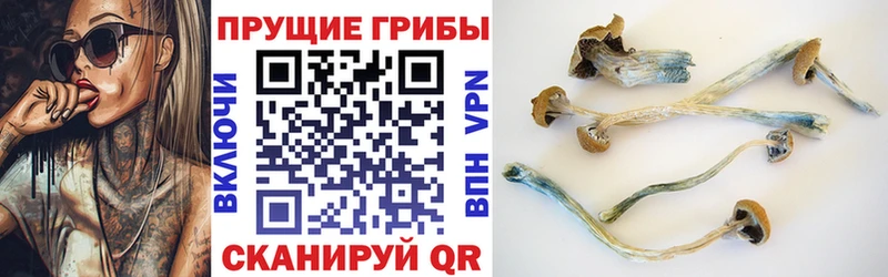 Псилоцибиновые грибы GOLDEN TEACHER Бердск